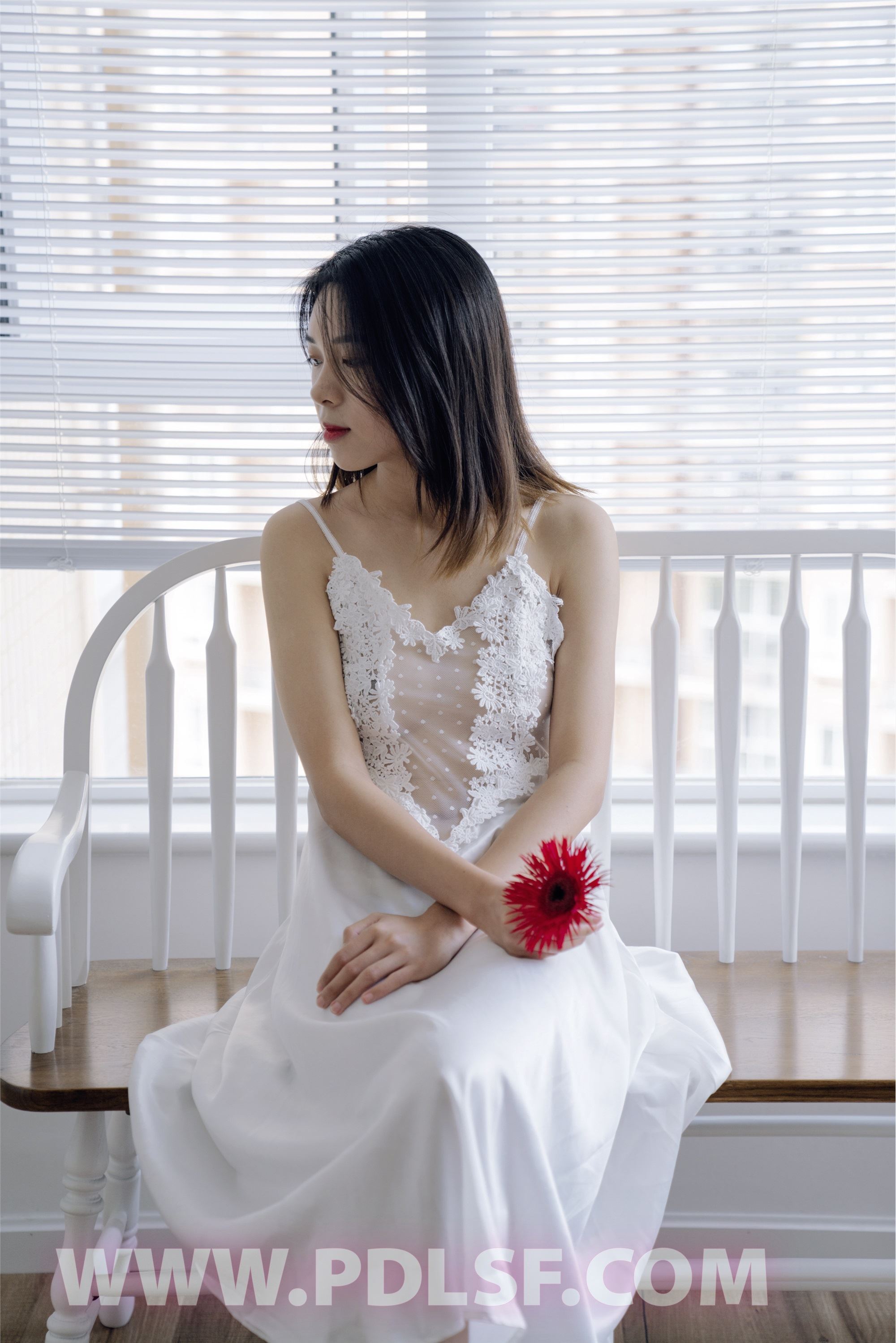 PDL潘多拉 2020.04.02 专辑No.284